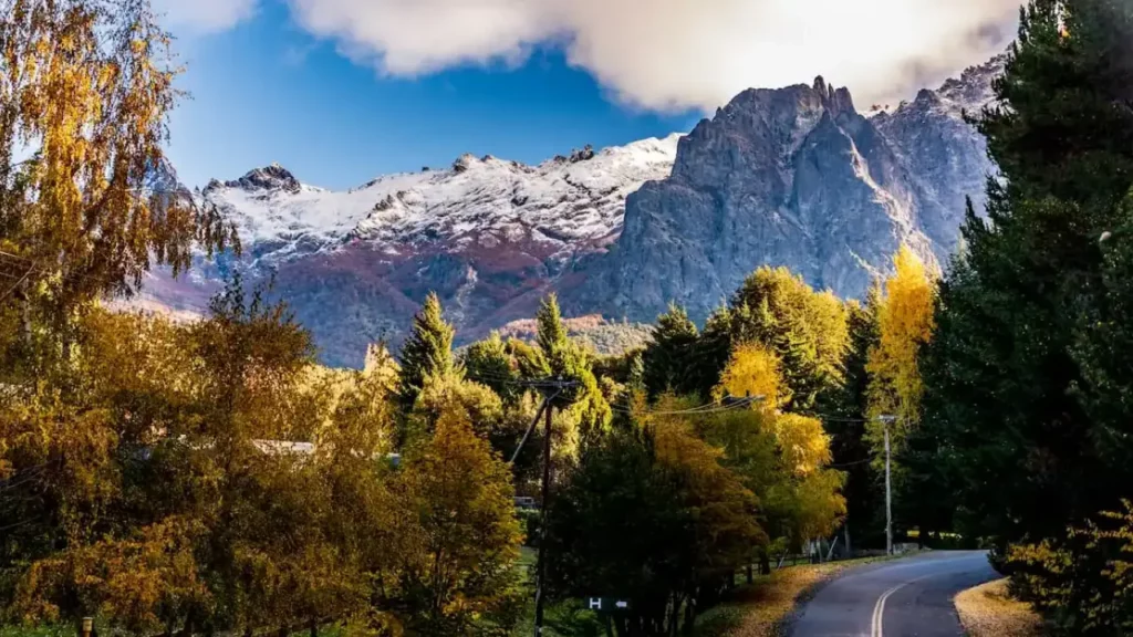 Estrada cênica em Bariloche rodeada por árvores e montanhas nevadas.