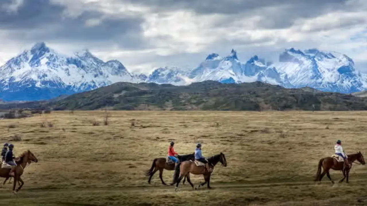 Turistas a cavalo em um campo aberto.