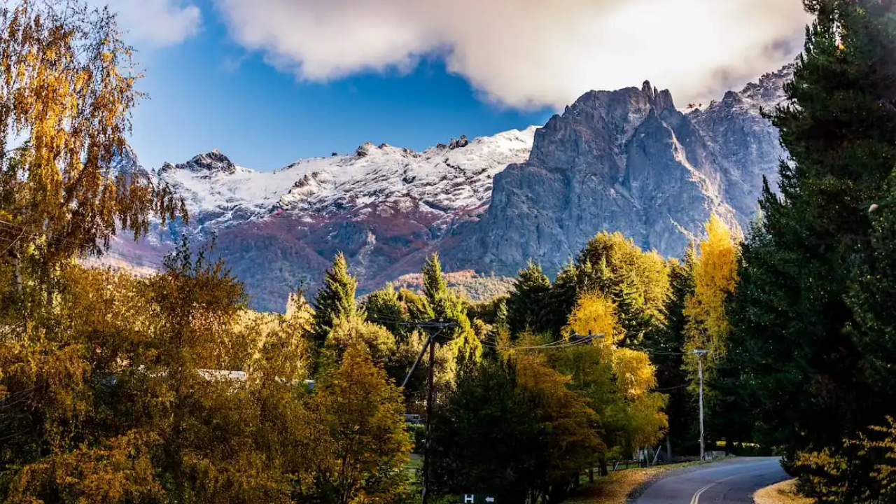Estrada em Bariloche com árvores douradas e montanhas ao fundo na primavera