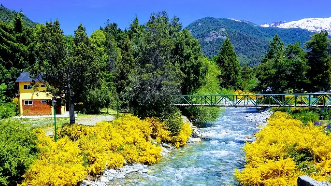 Rio cristalino em Bariloche rodeado por flores amarelas na primavera