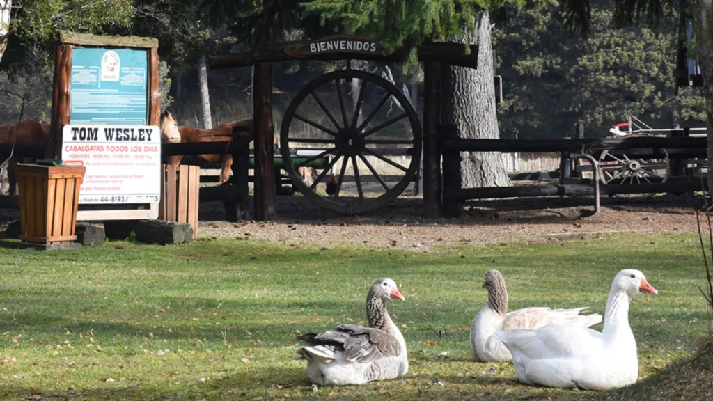 Entrada do rancho Tom Wesley em Bariloche, Argentina, com uma placa de boas-vindas e gansos descansando no gramado ao redor.