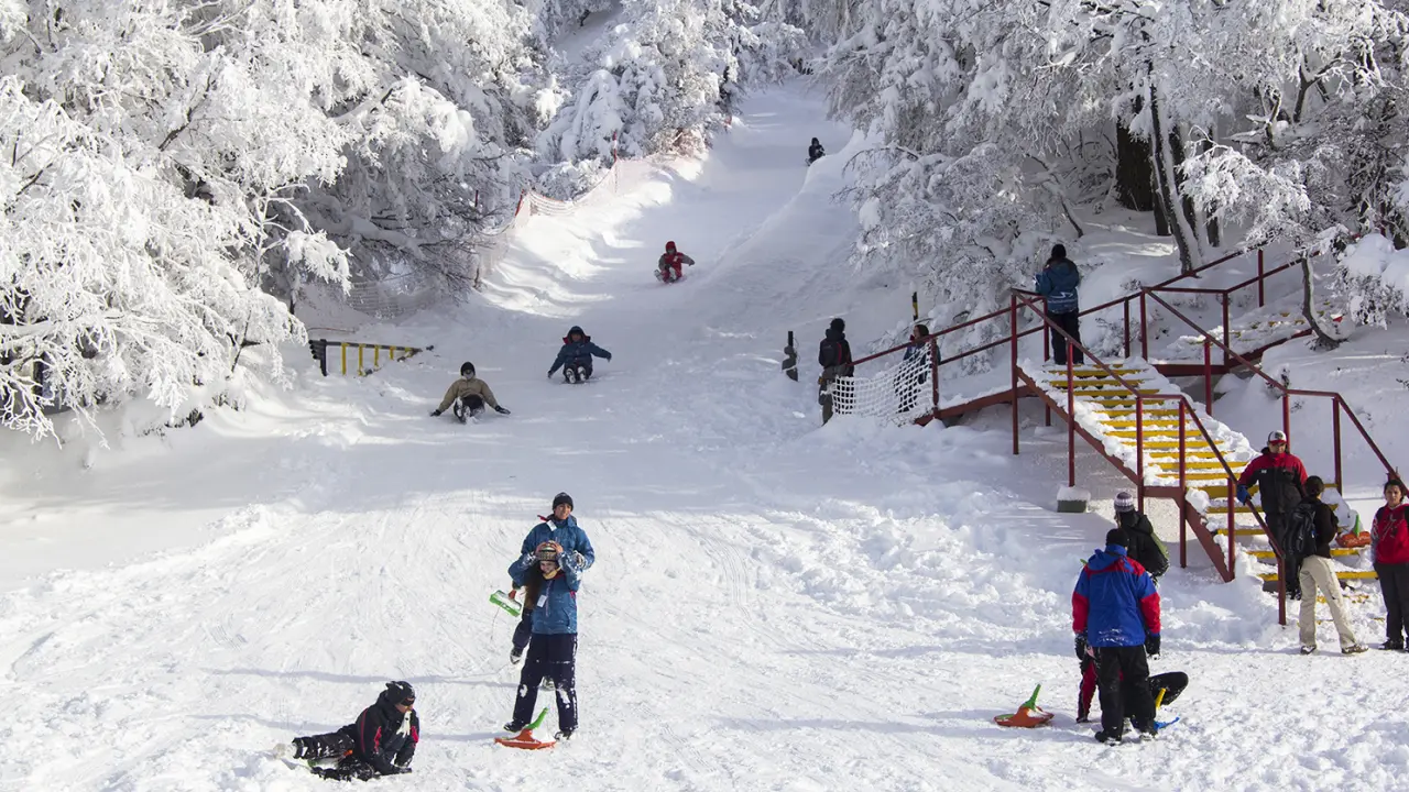 Turistas aproveitando uma área de recreação na neve em Bariloche, descendo com pranchas e trenós entre árvores cobertas de branco.