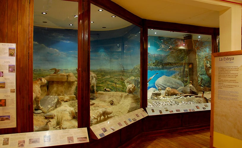 Vale a pena visitar museus em Bariloche?