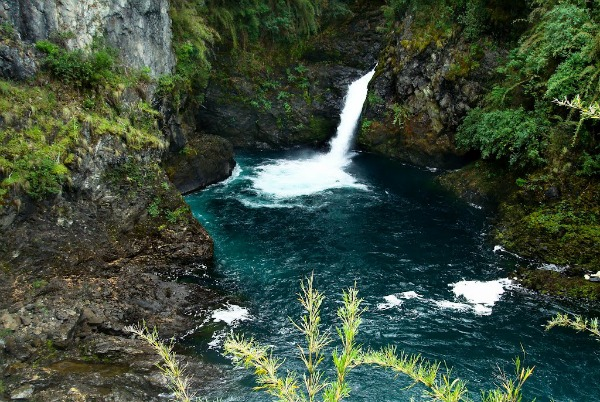 Cerro Tronador e Cascata los Alerces - Natureza em estado puro